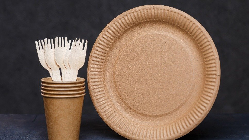 Do Paper Plates Have Microplastics